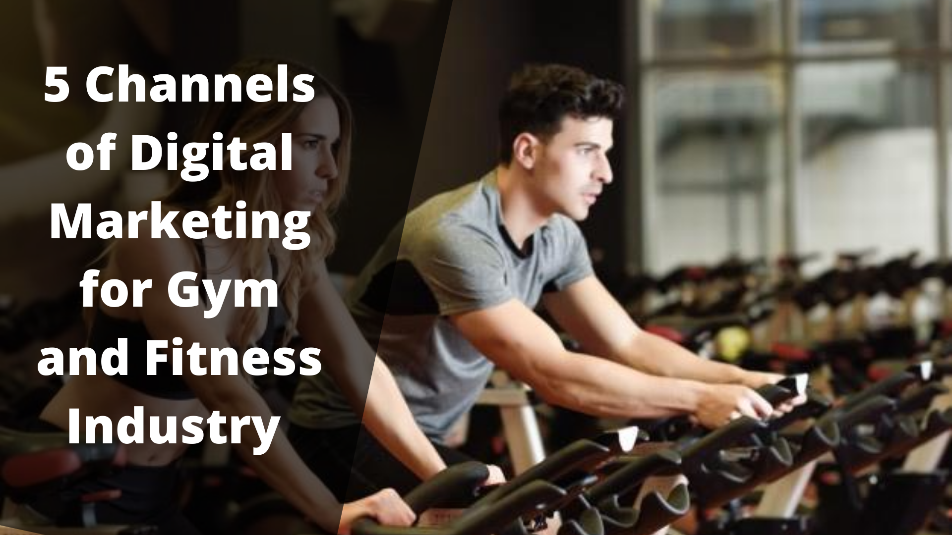 Digital Marketing For Gym Marketing For Gyms Internet Marketing For Gym